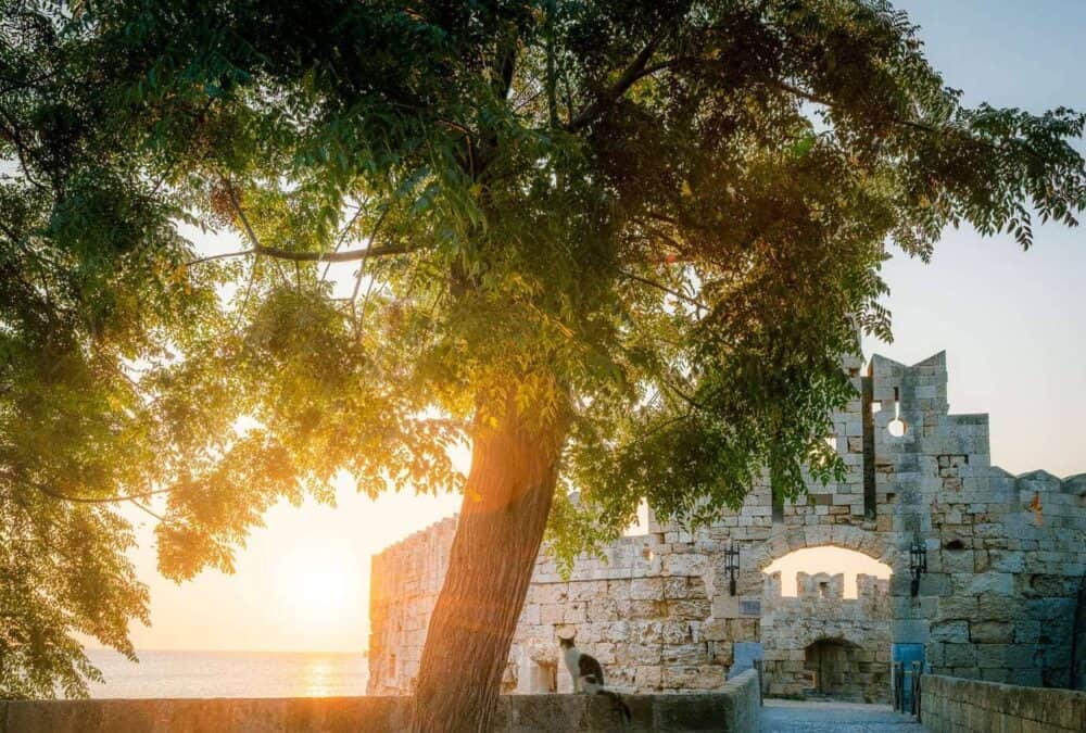 Cat-at-sunrise-at-gate-to-rhodes-old-town