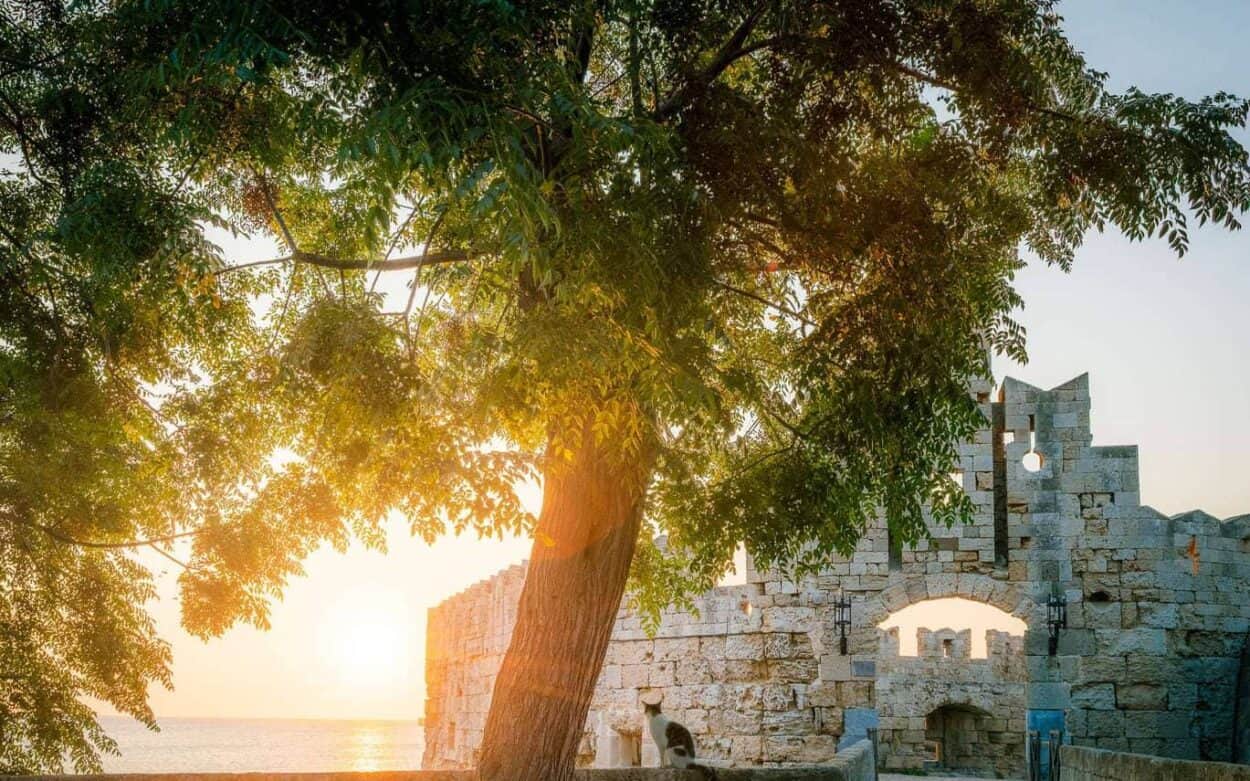 Cat-at-sunrise-at-gate-to-rhodes-old-town