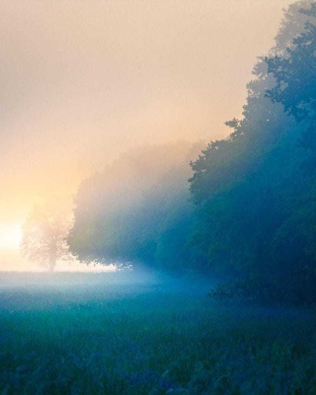 Creative-travel-photography-mist-somerset-levels