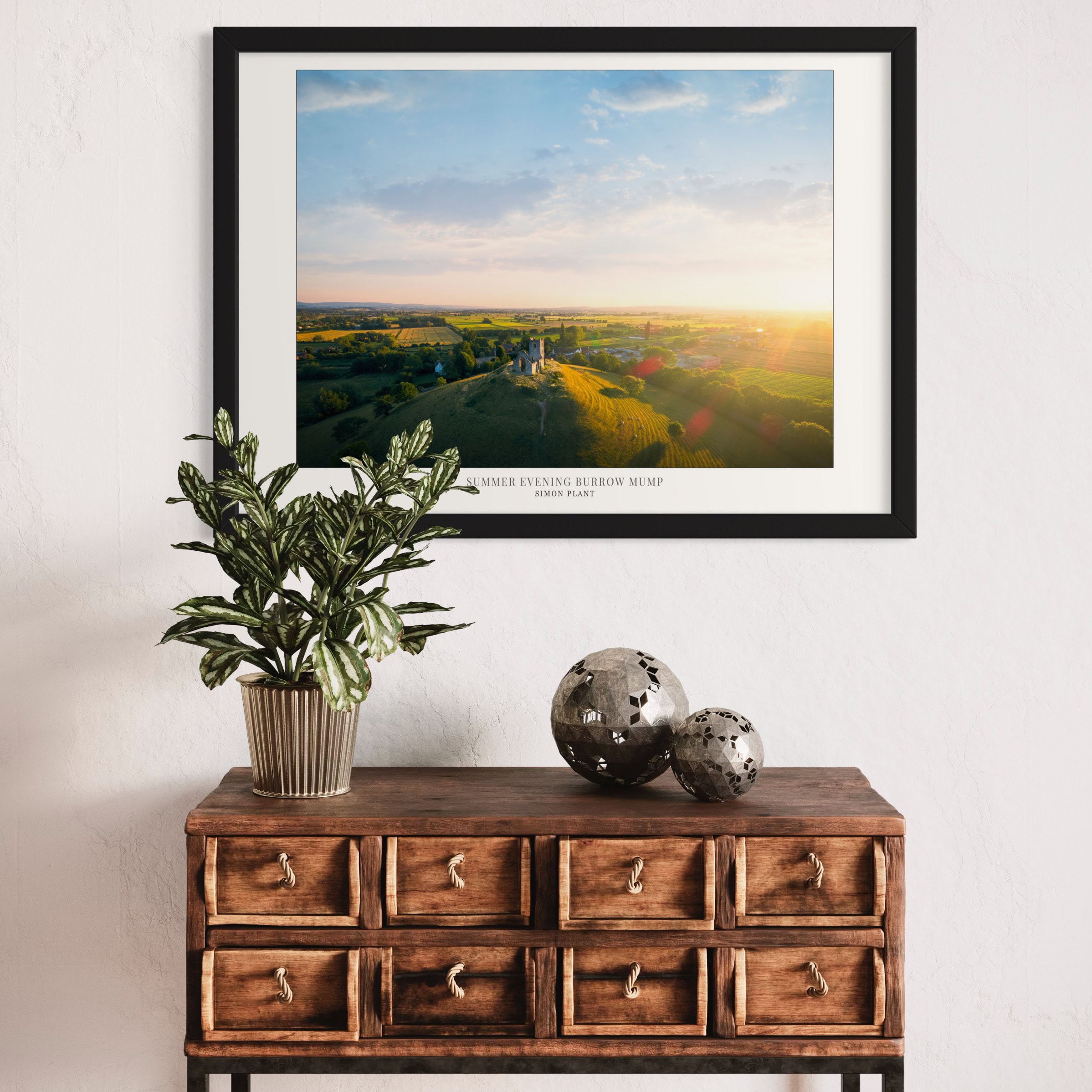 Summer Burrow Mump--Poster-Mocks00004
