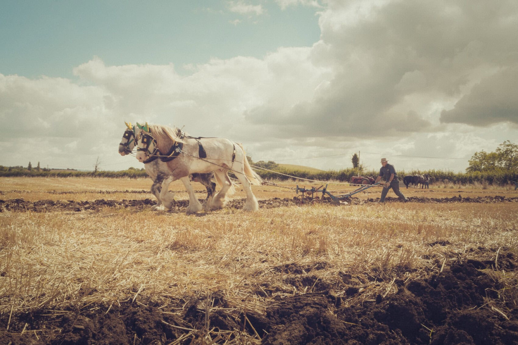 Aeonian Fine Art: HERITAGE FARMING IN SOMERSET, SHIRE HORSES #1 shown as a hand-stretched canvas in a contemporary room setting.