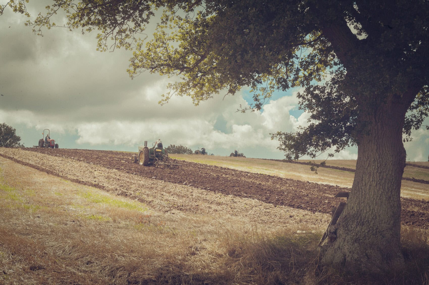 "A study of vintage, rusted farm machinery in a Somerset field, representing the agricultural heritage of the English West Country. Fine art photography available as a 100% cotton canvas or Limited Edition Giclée print, featuring a 1.5-inch (3.8 cm) solid Latvian pine frame."