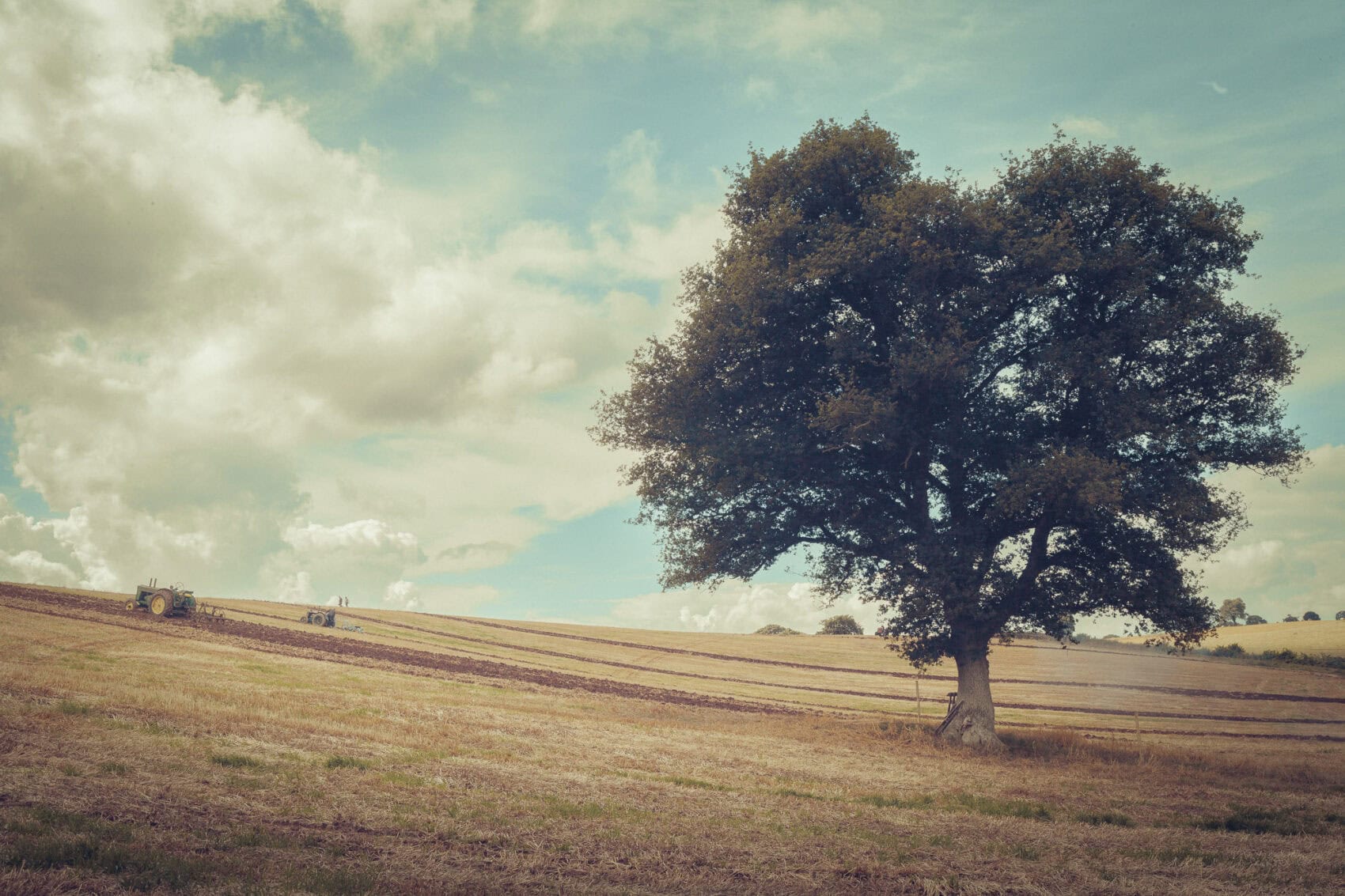 Aeonian Fine Art: HERITAGE FARMING IN SOMERSET #4 shown as a hand-stretched canvas in a contemporary room setting.