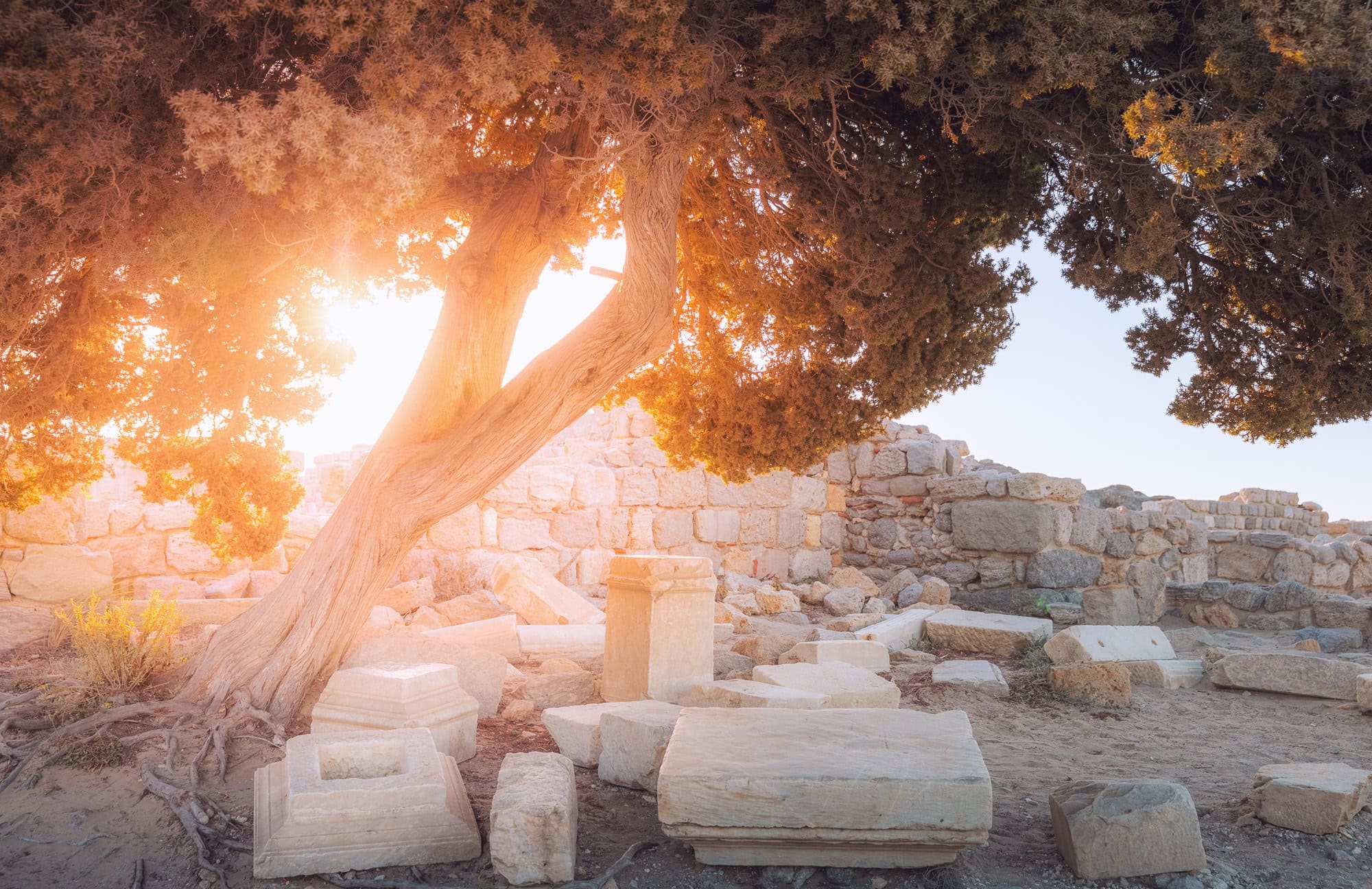 Serene ancient ruins in the soft morning shade of Kos. Available as a 100% cotton canvas on a 3.8cm pine frame or a signed limited edition Giclee print.