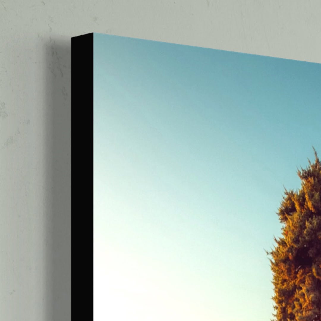 Canvas-Edge Black-2024-Details-8