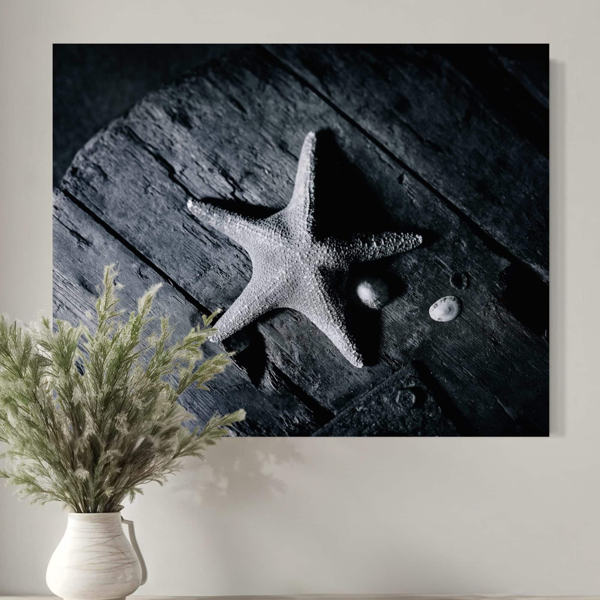 Aeonian Fine Art: Starfish & Shells Wall Canvas shown as a hand-stretched canvas in a contemporary room setting.