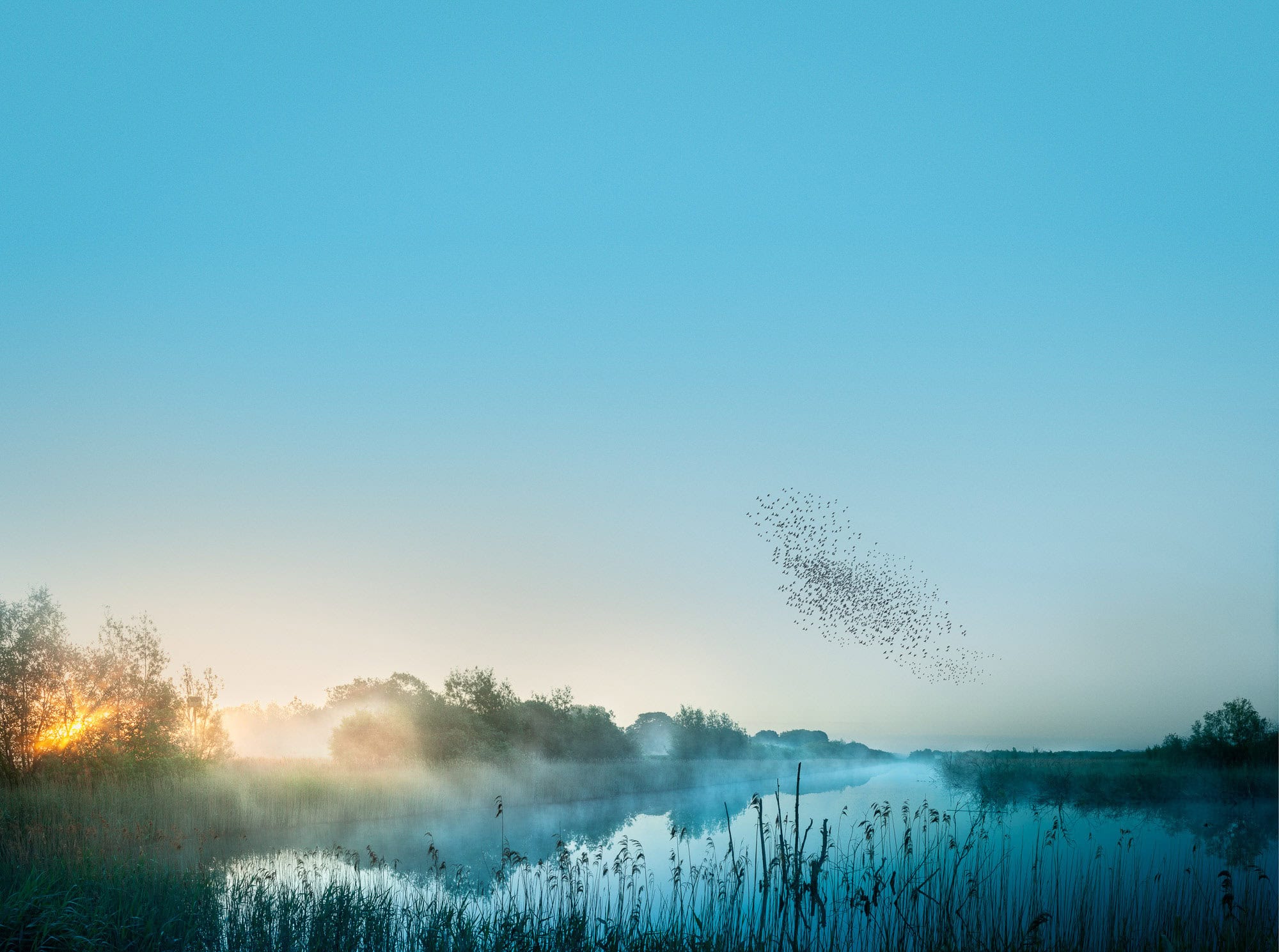 "A breathtaking starling murmuration over the Somerset Levels at dusk, capturing the fluid motion of nature against a tranquil moorland horizon. This premium fine art piece is available as a 100% cotton canvas or Limited Edition Giclée print, both mounted on a 1.5-inch (3.8 cm) solid Latvian pine frame."