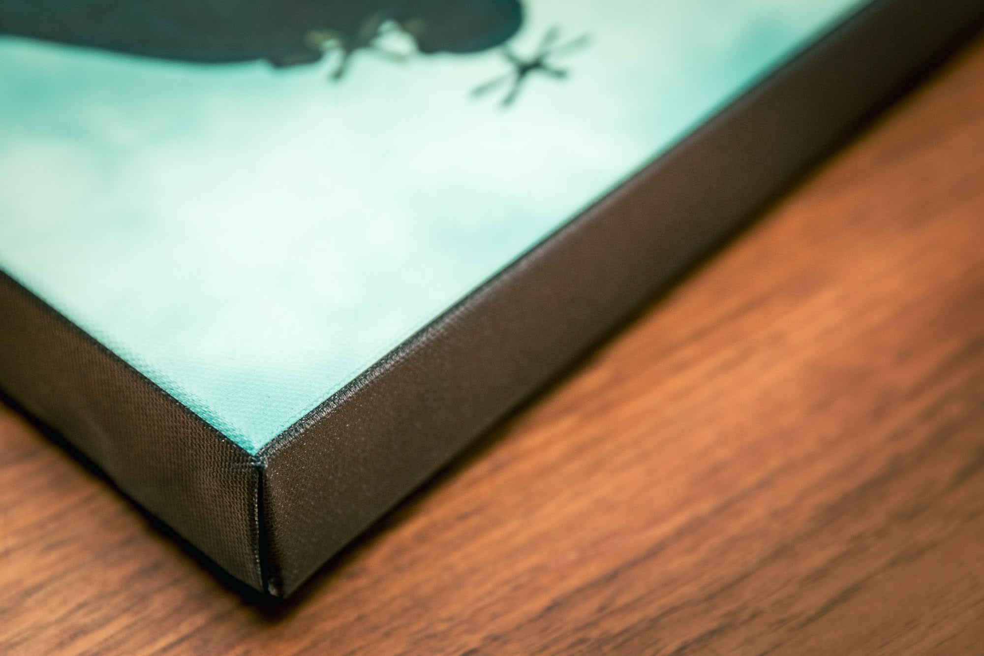 Canvas Edge View