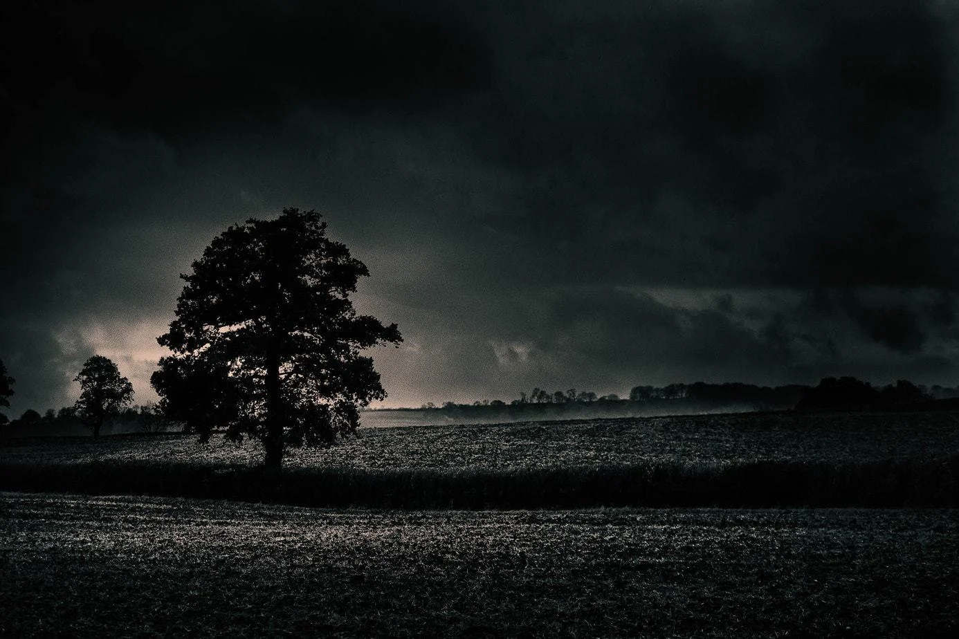 Location-in-photography-tree-in-plighted-field-somerset