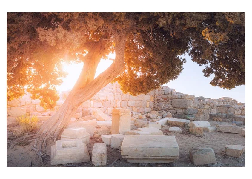 Aeonian Fine Art: History Laid In The Shade shown as a hand-stretched canvas in a contemporary room setting.